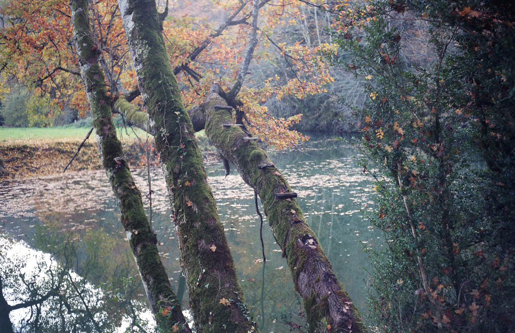 SAINT MARTIN DU MONT