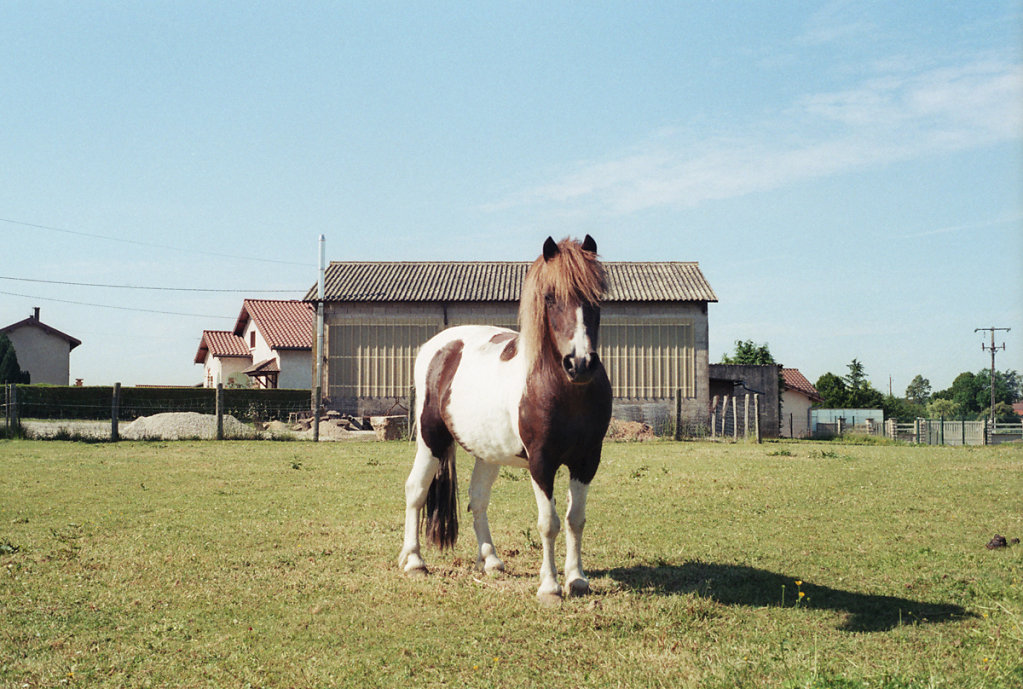 Dombes