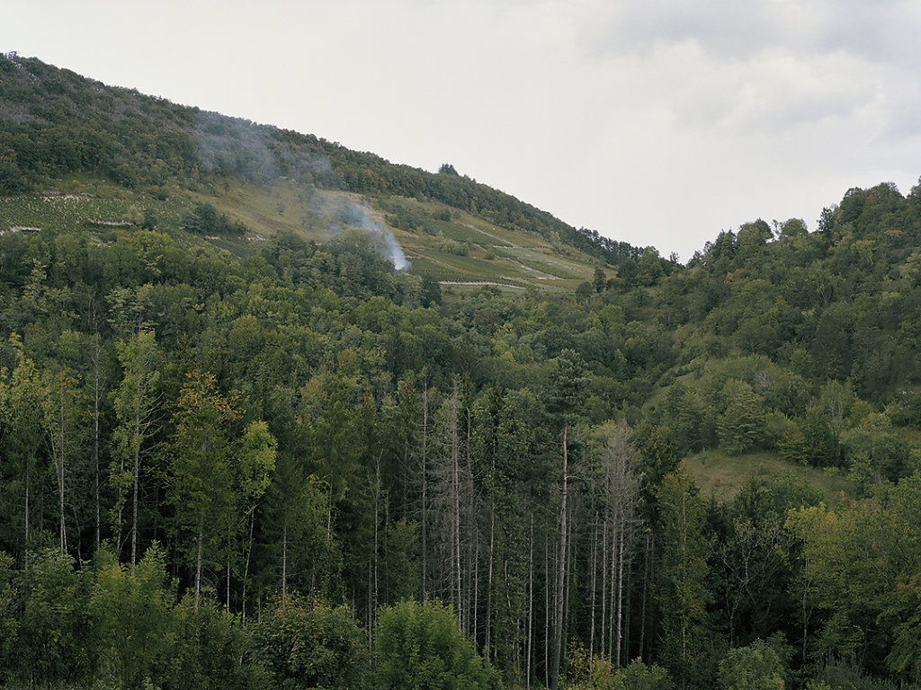 Haut Bugey